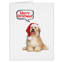 ジャンボサンタップスのクリスマスカード