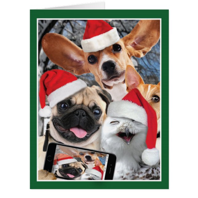 ジャンボ休日の動物のSelfieのクリスマスカード (正面)