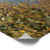 ジャンボ貯水池 ポスター (角)