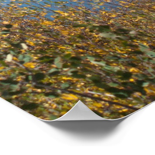 ジャンボ貯水池 ポスター (角)