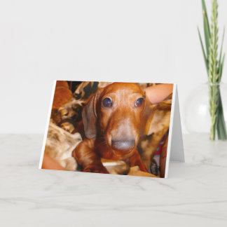 ジャンボ カード