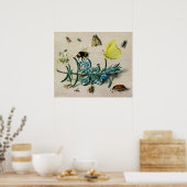 ジャンヴァンケッセル長老の昆虫 ポスター (キッチン)