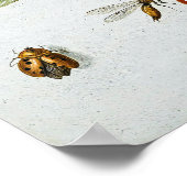 ジャンヴァンケッセル長老の昆虫 ポスター (角)