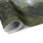 ジャン-バプティスト-カミーユコロットオルフェウス ラッピングペーパー (ロールコーナー)