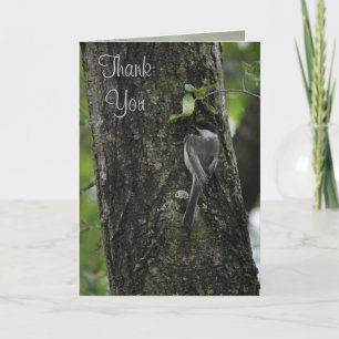 ジャン・フィッツジェラルドのThank You Little Birdieカード サンキューカード