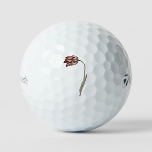 ジャン・ベルナールのピンクチューリップ（1775年～1883年）。 ゴルフボール (正面)