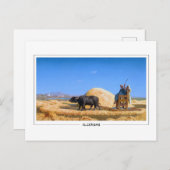 ジャン=レオンジェローム#185 -ファインアートポストカード ポストカード (正面/裏面)