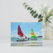 ジャージーのホービーキャッツ ポストカード (スタンド正面)