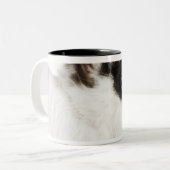 ジャージーのWoolyウサギ ツートーンマグカップ (正面左)