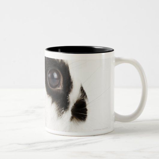 ジャージーのWoolyウサギ ツートーンマグカップ (右)