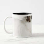 ジャージーのWoolyウサギ ツートーンマグカップ (左)