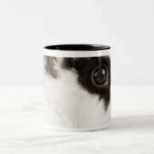 ジャージーのWoolyウサギ ツートーンマグカップ (中央)