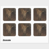 ジャージーカーフ スクエアシール (シート)