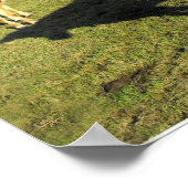 ジャージーカーブ、セントジョン、ジャージー ポスター (角)