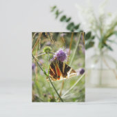 ジャージータイガーモスポストカード ポストカード (スタンド正面)