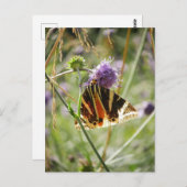 ジャージータイガーモスマグネット ポストカード (正面/裏面)