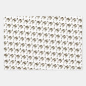 ジャージーデビル ラッピングペーパーシート (正面)