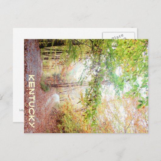 ジャージーファウンで移動の少ない道路 ポストカード (正面/裏面)