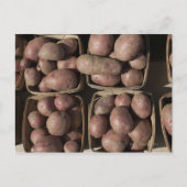 ジャージーファーマーズマーケットでジャガイモ ポストカード (正面)