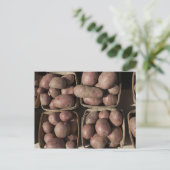 ジャージーファーマーズマーケットでジャガイモ ポストカード (スタンド正面)