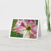 ジャージーリリーの肖像画 カード (正面)