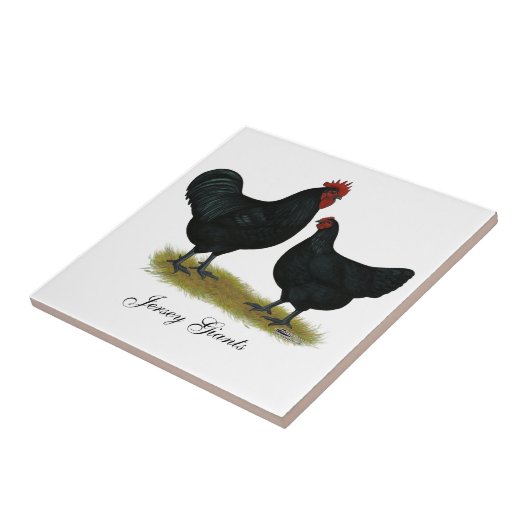 ジャージー巨人の鶏 タイル (側面)