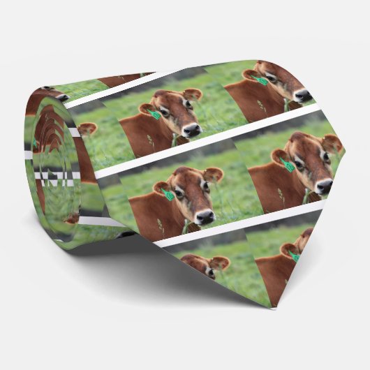 ジャージー牛 ネクタイ (ロール)
