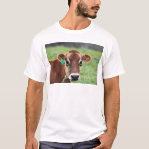 ジャージー牛 Tシャツ