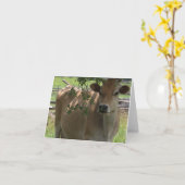 ジャージー牛Notecard カード (黄色い花)