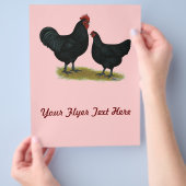 ジャージー・ジャイアントチキン チラシ (手)