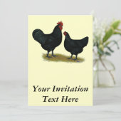 ジャージー ジャイアント ニワトリ 招待状 (スタンド正面)