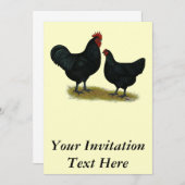 ジャージー ジャイアント ニワトリ 招待状 (正面/裏面)