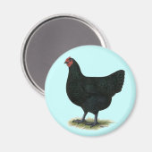 ジャージー・ジャイアント:ブラック・ヘン マグネット (正面/裏面)