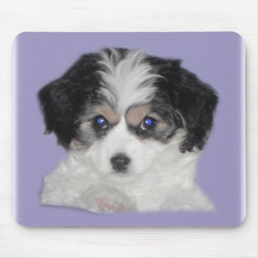 ジャージーCavachonのマウスパッド マウスパッド (正面)