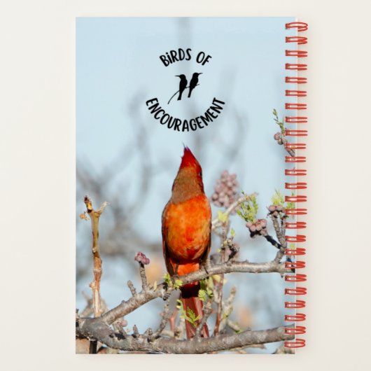 ジャーナルおよびノート用(鳥)ショウジョウコウカンチョウスパイラルノートブック ノートブック (裏面)