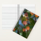 ジャーナル – 秋 (内側)