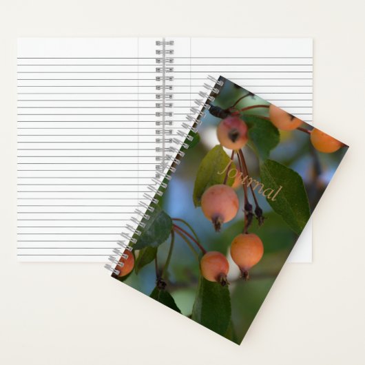 ジャーナル – 秋 (内側)