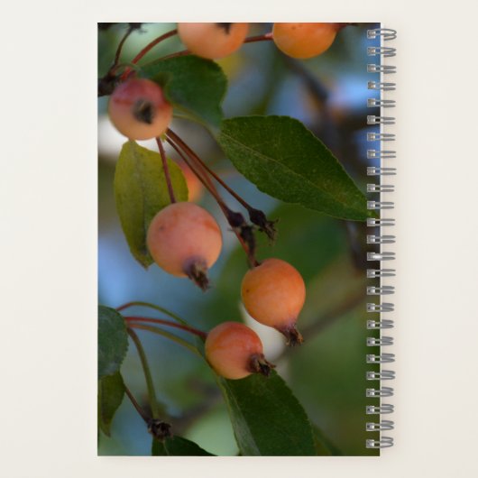 ジャーナル – 秋 (裏面)