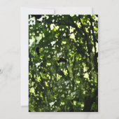 ジャーニーウォーターカラーバーバルミツワー招待状 招待状 (裏面)