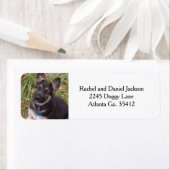 ジャーマンシェパパピー住所 シール (インサイチュ)