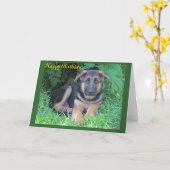 ジャーマンシェパピー誕生日カード カード (黄色い花)