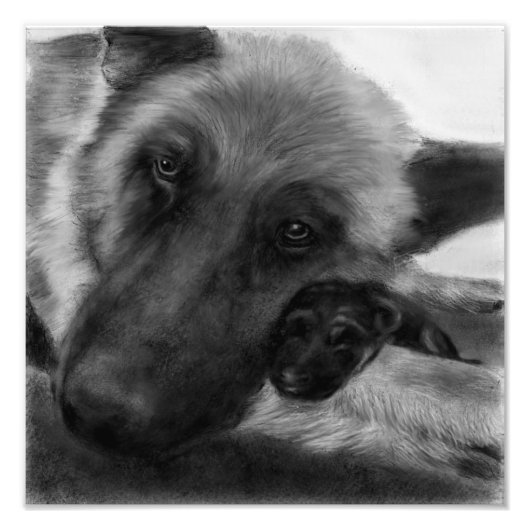 ジャーマンシェパードと子犬 フォトプリント            (正面)