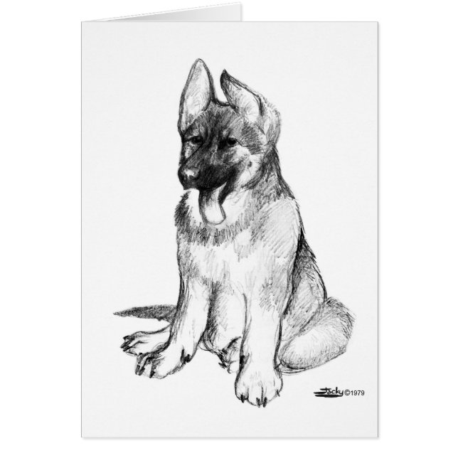 ジャーマンシェパードの子犬 (正面)