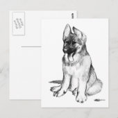 ジャーマンシェパードの子犬 ポストカード (正面/裏面)