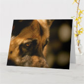 ジャーマンシェパードの感情 誕生日 カード (黄色い花)