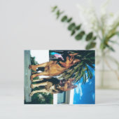 ジャーマンシェパードグループ ポストカード (スタンド正面)