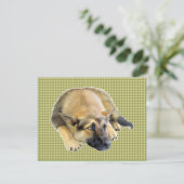 ジャーマンシェパードドッグパピー 招待状 (スタンド正面)