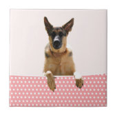 ジャーマンシェパードドッグピンク水玉模様 タイル (正面)