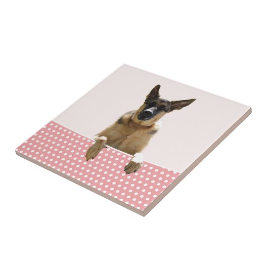 ジャーマンシェパードドッグピンク水玉模様 タイル (側面)