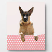 ジャーマンシェパードドッグピンク水玉模様 フォトプラーク (正面)